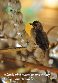 雀の鳴き声 スピリチュアル