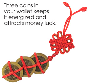 三連のコイン