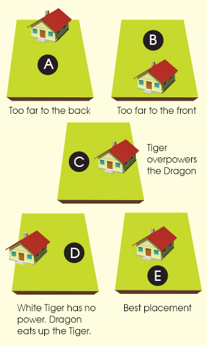 choosing-land-04