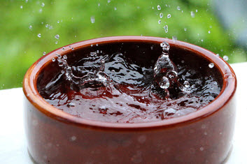 雨水を集める