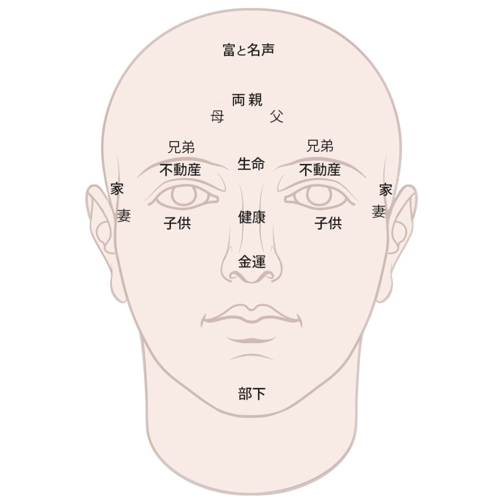 顔のゾーン別運気