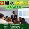 セイナーの様子