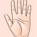 手のひらの絵
