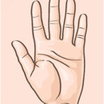 手のひらの絵