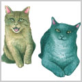 猫