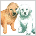 犬