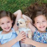 双子の少女と犬