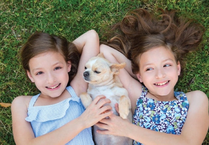 双子の少女と犬
