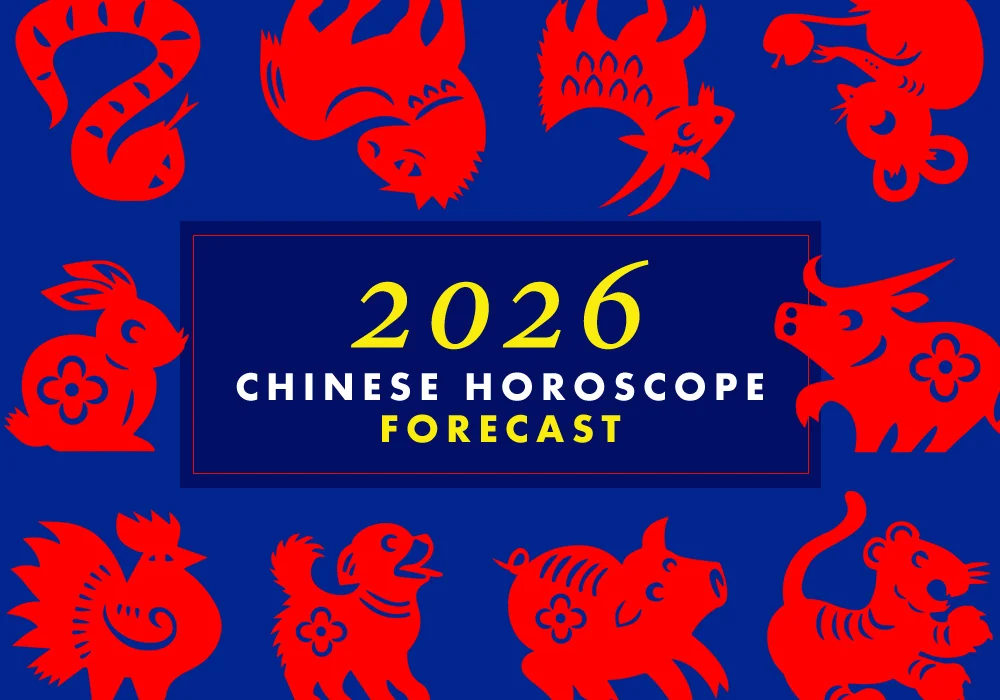 2026年干支別対策の図